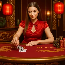 SpinDog - Live Baccarat - High Limits